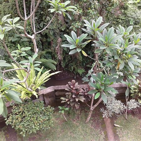 Dewi Ayu Accomodation Ubud  Exterior photo